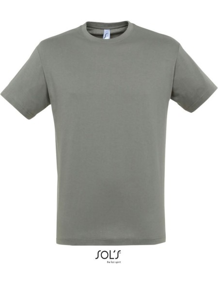 Herren-T-Shirt – Regent – Zink XS