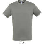 Herren-T-Shirt – Regent – Zink XL