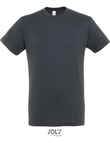 Herren T-Shirt - Regent - Mausgrau M