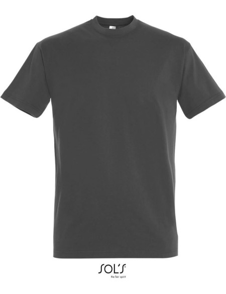 Herren-T-Shirt – Imperial – Dunkelgrau XS